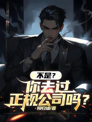 不是？你去过正规公司吗？